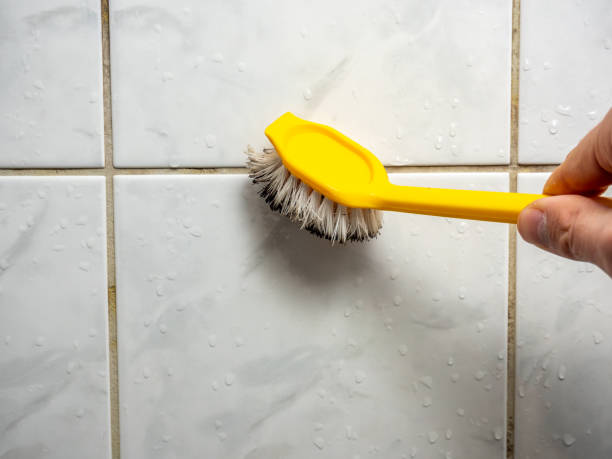 Best Black Mold Removal  in Sumter, SC
