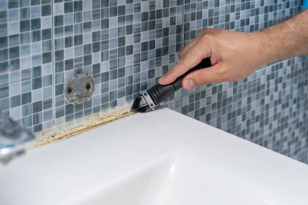 Home Mold Removal in Sumter, SC